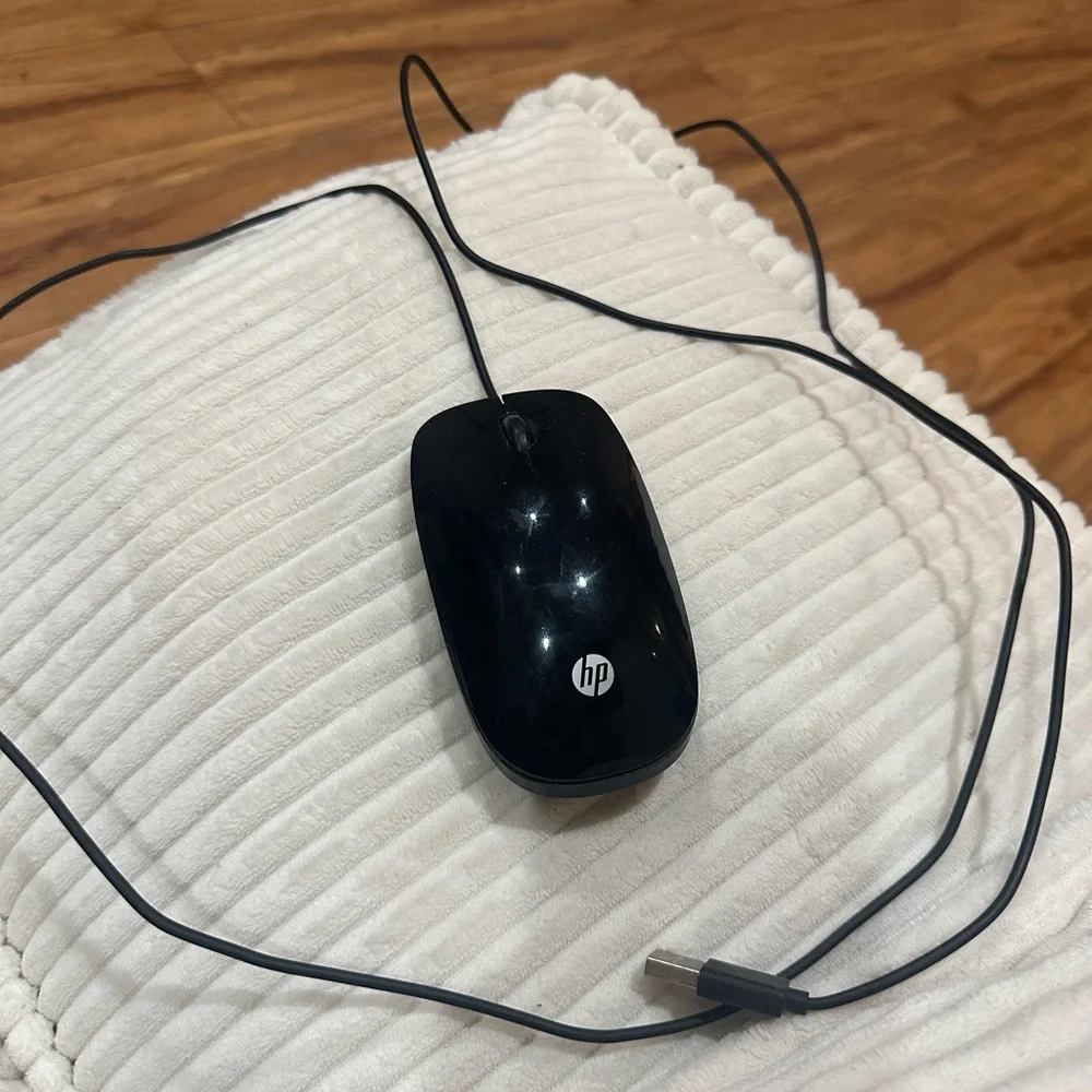HP X500 Wired Mouse (E5E76AA) - Black